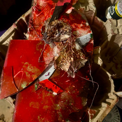 Gratitude_ Colossians 3_16