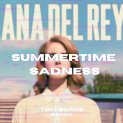 Summertime Sadness - (Tom Burns Remix)
