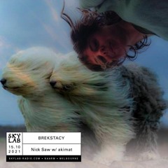 Skylab Radio - Brekstacy 15.10.21 (dog on a windy day guestmix)