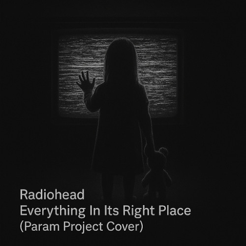 radiohead - everything in its right place (param project cover)