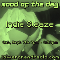 Mood of the Day - Indie Sleaze