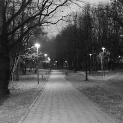 Moderate Cold 1