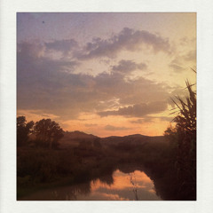 What Brings You Here