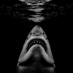 ENVIDIOSOS | FREE DOWNLOAD