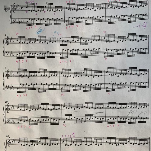 Moonlight Sonate - Beethoven