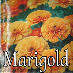Marigold [Nirvana Cover]