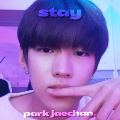 stay - park jaechan (dongkiz)