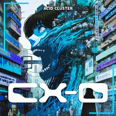 CX-0: ACID CLUSTER