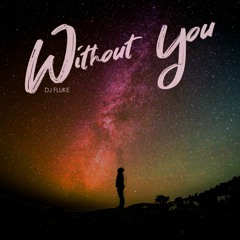 DJ Fluke - Without You