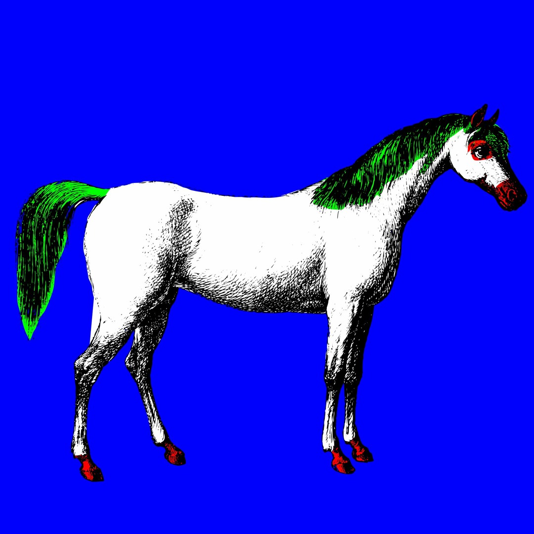 Stream episode TIERE IM FOKUS 4 - PFERD HORST by Mariola Brillowska ...