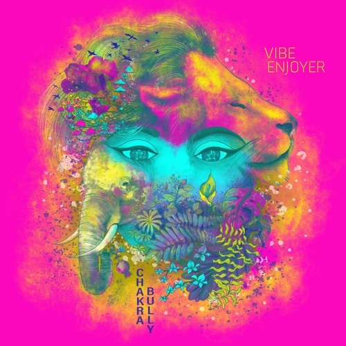 Vibe Enjoyer - CHAKRA BULLY