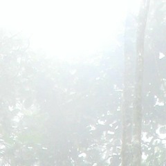 camping_in_heavy_rain_220918