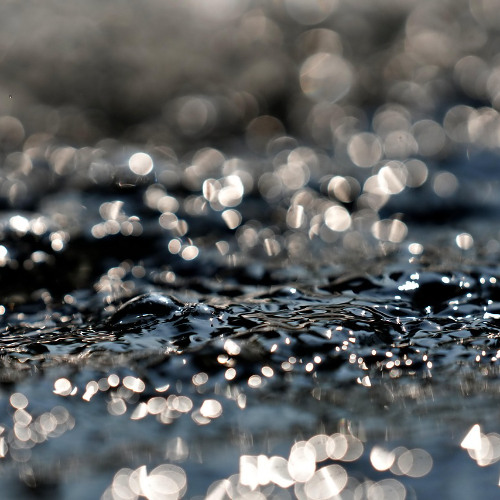 Drops Of Water (2025)