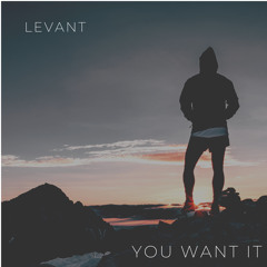 LeVant - You Want It