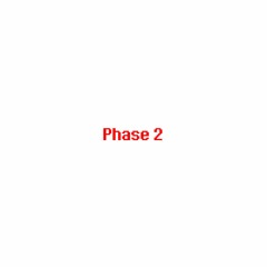 Phase 2 - A "The Slaughter Continues" Remix