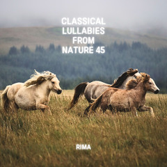 Beethoven : Piano Sonata No.14 In C Sharp Minor Op.27-2 'Moonlight' - I. Adagio Sostenuto