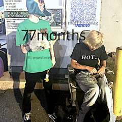 77months ft wowsteezy prod;methboiswag