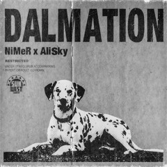 NiMeR x Ali Sky - DALMATION