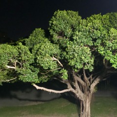 241010 - Mitra, Sound of Yujing, Candra Kiraná