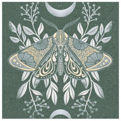interlude. moth