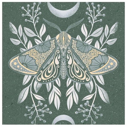 interlude. moth