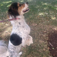 sameolemeek prod bullseye