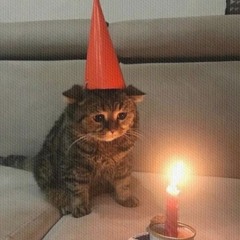 happy birthday kxbrigu!!111