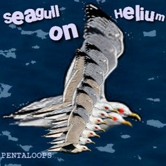 Seagull on helium - PENTALOOPS
