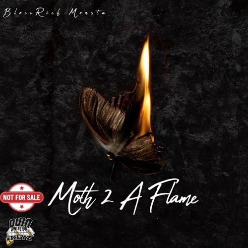 Moth 2 A Flame