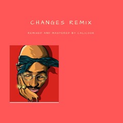 Tupac Changes CALICOOK REMIX