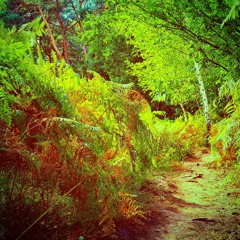 A Walk in the Park :: Electronic Chill-Out Mix :: Trip-Hop / House / Organic