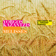 Melisses (Dreamers Inc. Remix) [feat. Meditelectro]