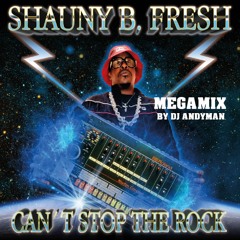 Shauny B. Fresh Megamix (Official CBR CD Mix By DJ Andyman)