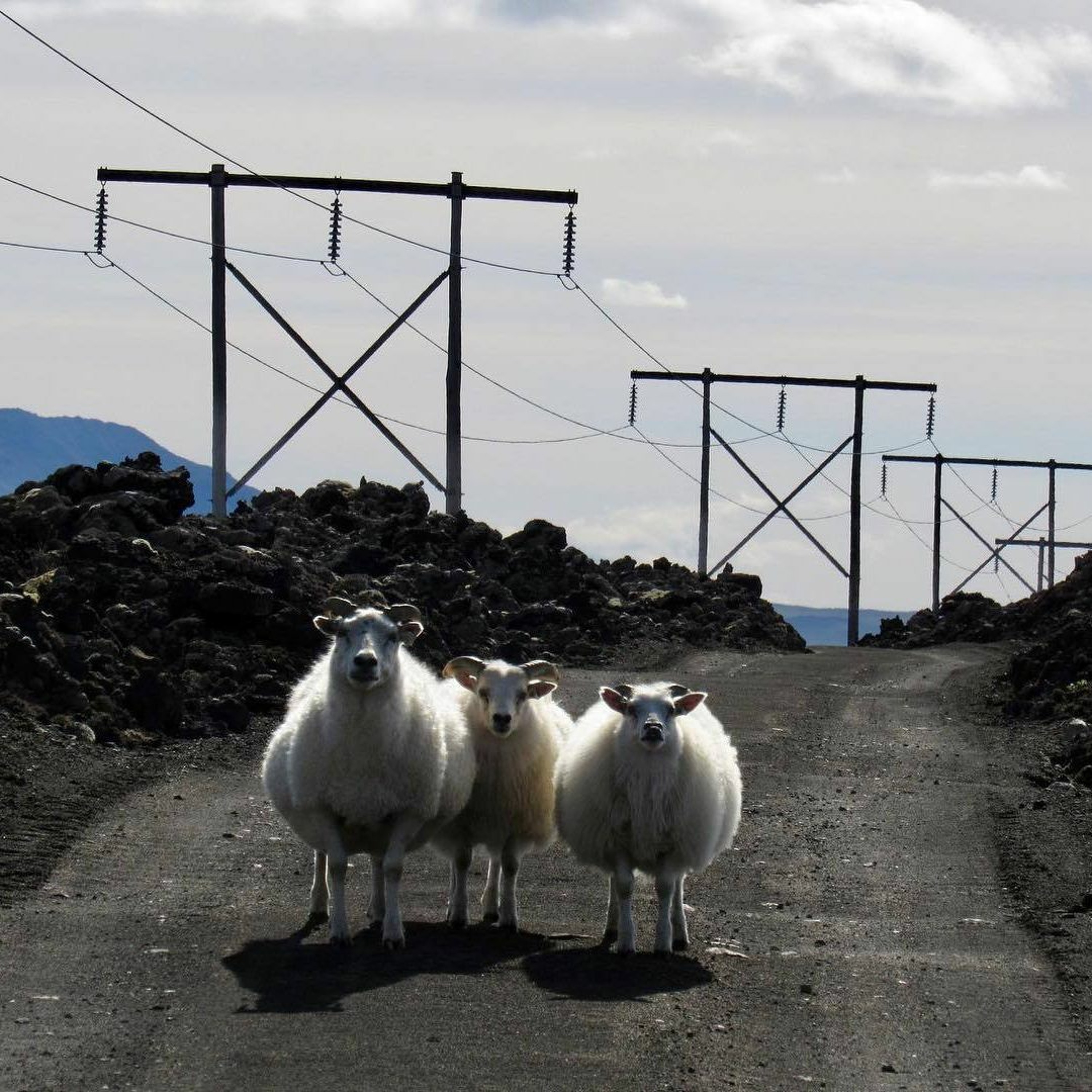 Hlaðvarp Landsnets