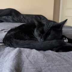 perk  (bayergartner)