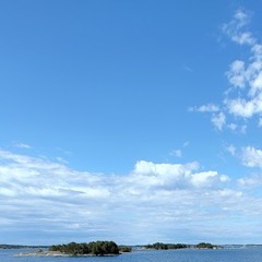A Blue Sky Overhead