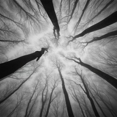 Andra - Dorul (EMI Voice Cut  RMX)