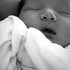 Welcome Iris