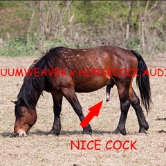 Cumweaver - Horse of Salem [SC030] (HORSECOCK AUDIO FEATURE)