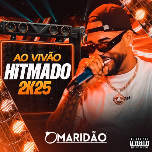 AO VIVÃO HITMADO 2K25