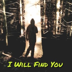 I Will Find You