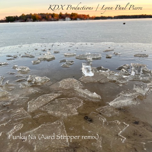 Funky Na (Aard Steppers Remix)