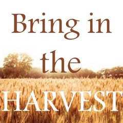 10-02-25 BRING IN THE HARVEST - Be Strong in Me - FreedomNow247 Jonnys Food Ministry