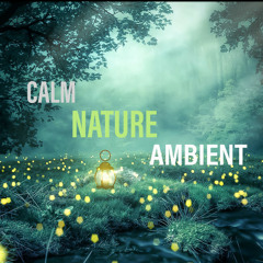 Calm Nature Ambient