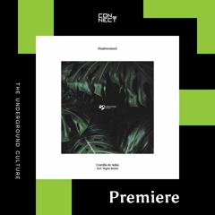 PREMIERE: Finalversion3 & Brumann - Astrolabio [Devotion Records]