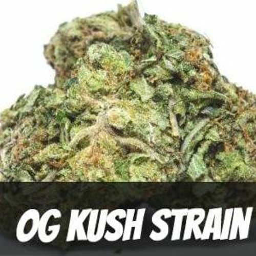 History Of OG Kush