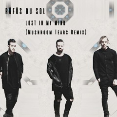 RÜFÜS DU SOL - Lost In My Mind (Mushroom Tears Remix)