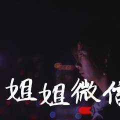 妖姬&花哨 - 姐姐微信来了【動態歌詞/Lyrics Video】