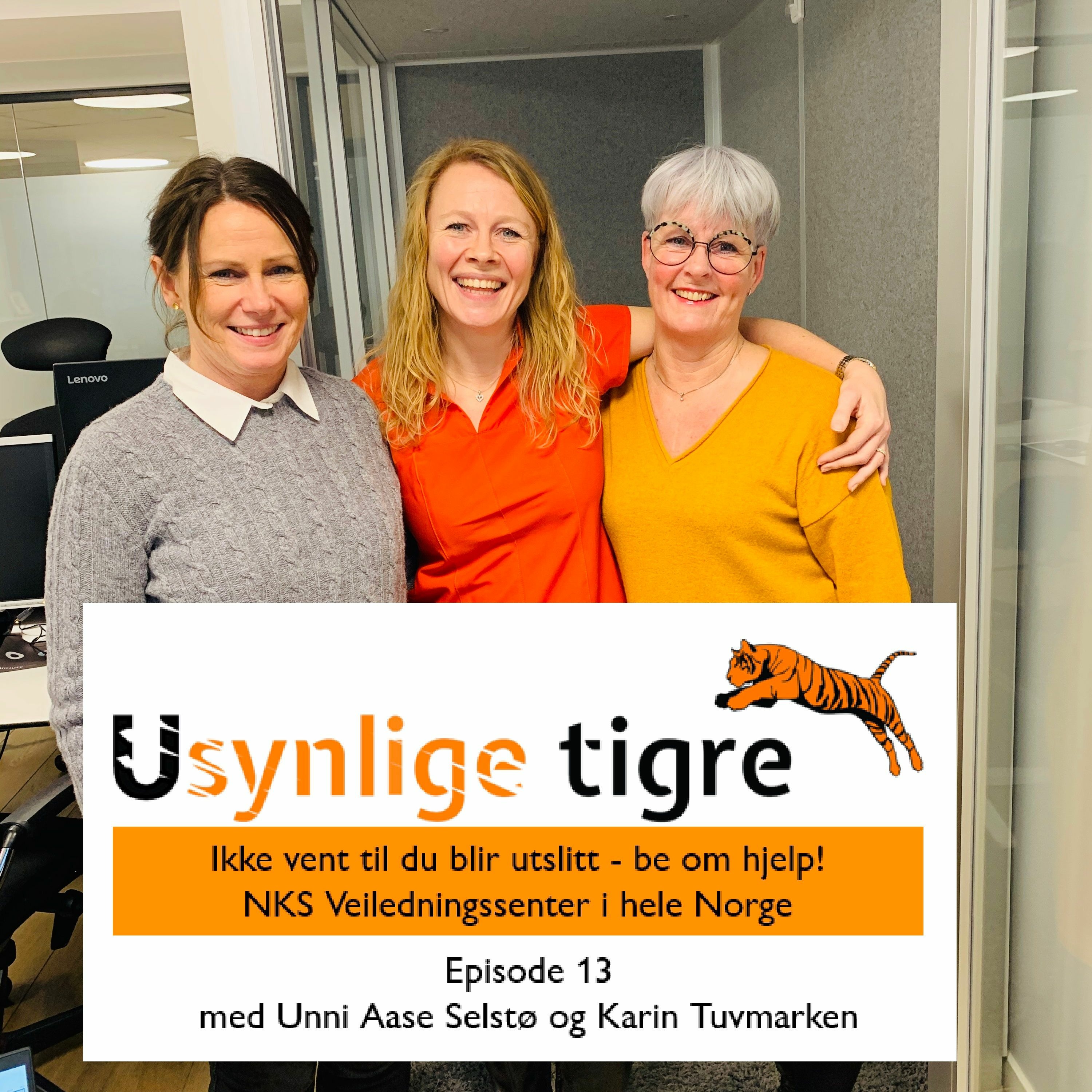 Usynlige tigre-podden
