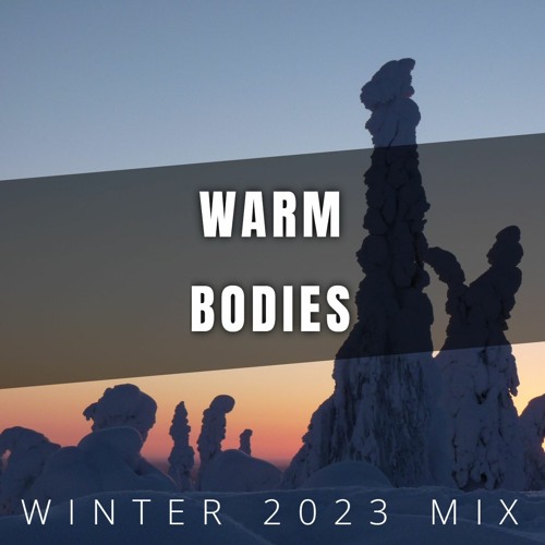 WARM BODIES (Winter 2023 Mix) by Vaidas Mi